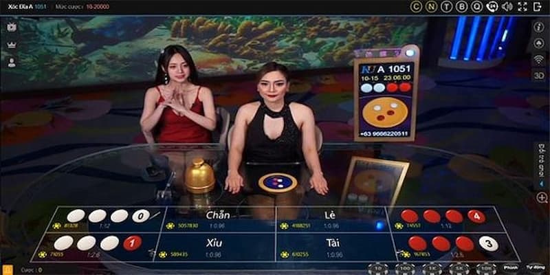 Các hình thức cược casino phổ biến được giới thiệu kỹ càng