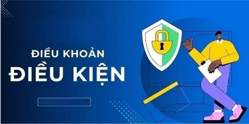 Tại sao điều kiện điều khoản của xóc đĩa được đánh giá cao