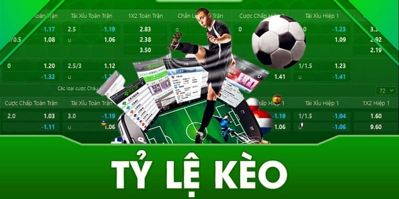 Tại sao phải hiểu rõ tỷ lệ kèo khi tham gia cá cược